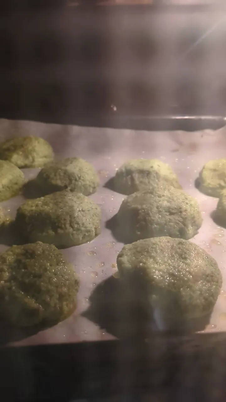 Falafel patties arranged on a baking tray